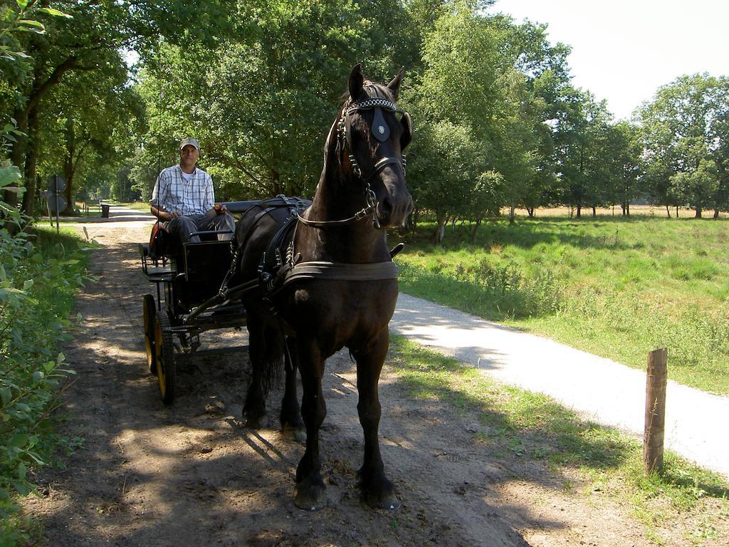 Вилла Hoeve Den Anholt Ruinen Экстерьер фото