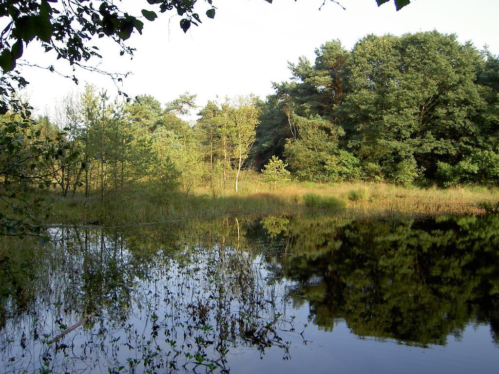 Вилла Hoeve Den Anholt Ruinen Экстерьер фото