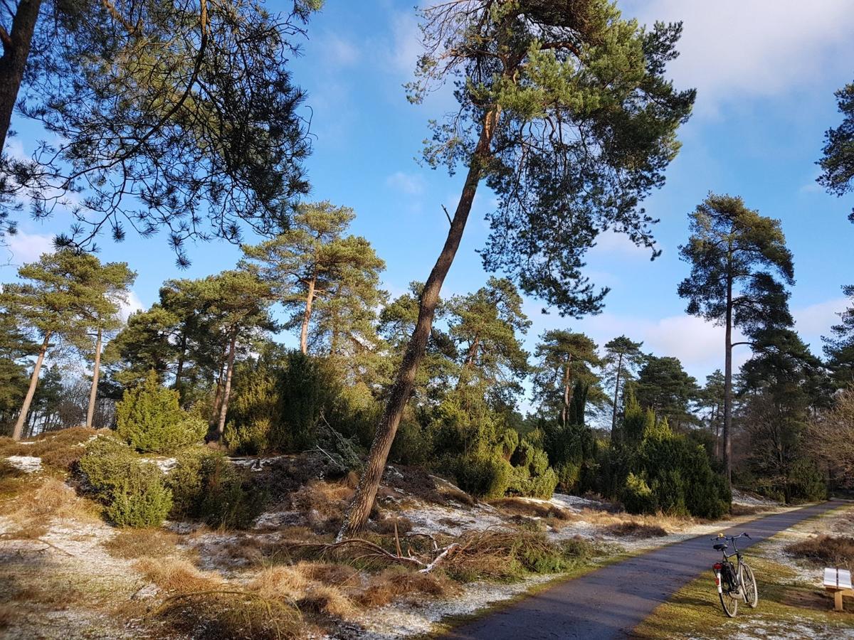 Вилла Hoeve Den Anholt Ruinen Экстерьер фото