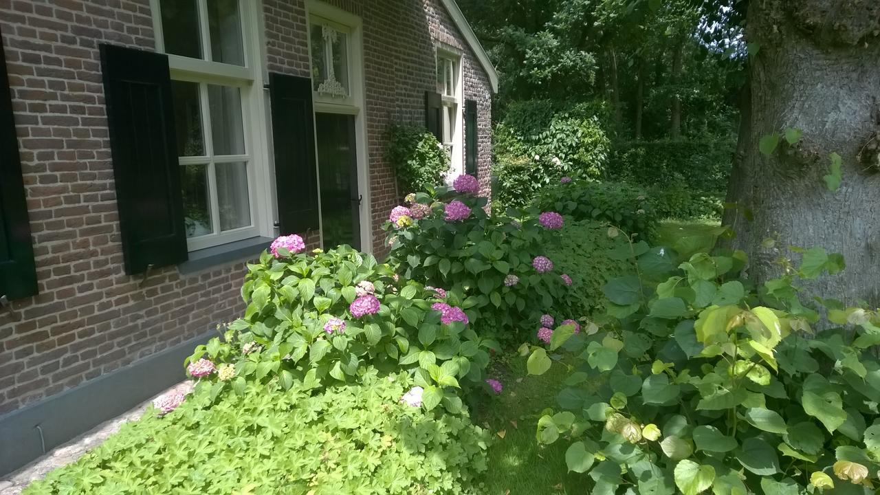 Вилла Hoeve Den Anholt Ruinen Экстерьер фото