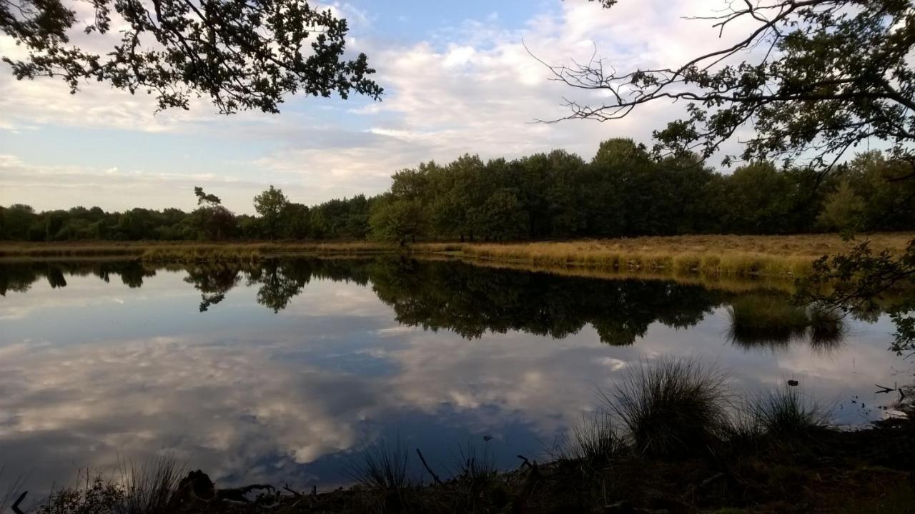 Вилла Hoeve Den Anholt Ruinen Экстерьер фото