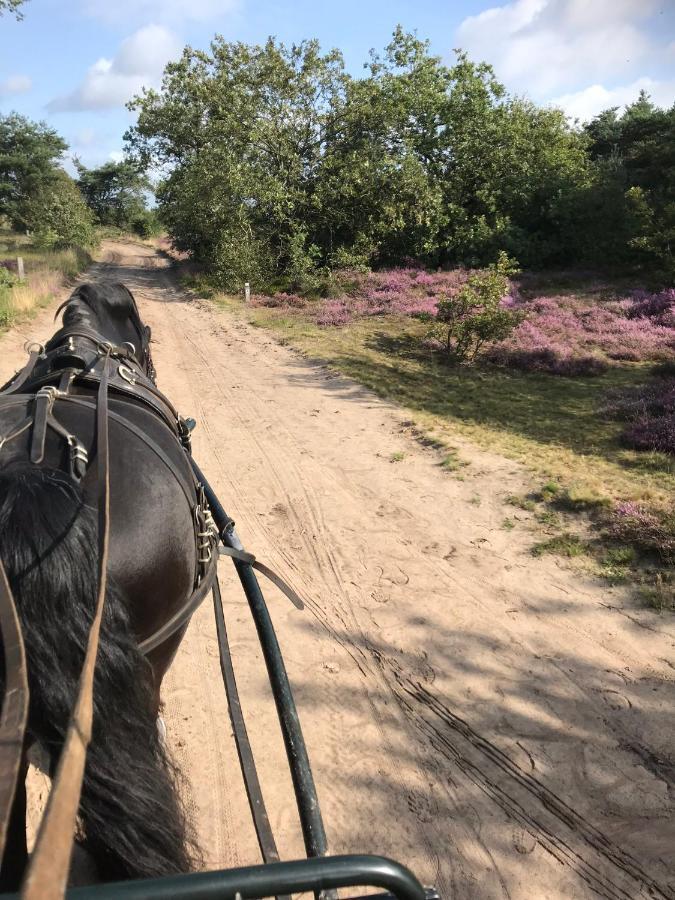 Вилла Hoeve Den Anholt Ruinen Экстерьер фото