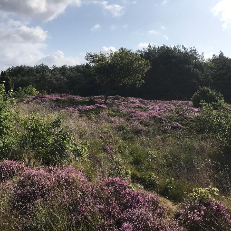 Вилла Hoeve Den Anholt Ruinen Экстерьер фото