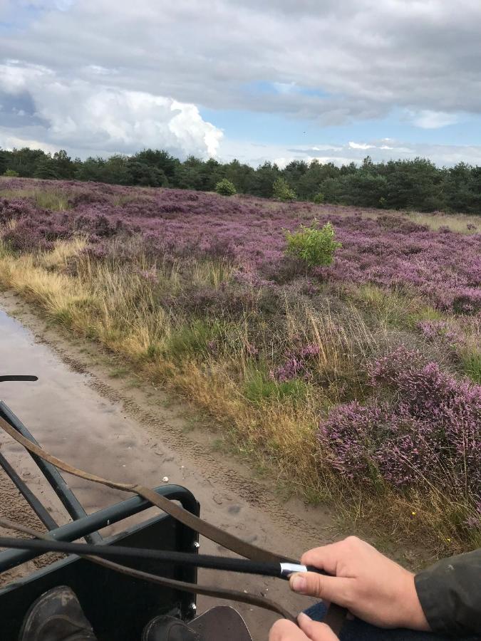 Вилла Hoeve Den Anholt Ruinen Экстерьер фото